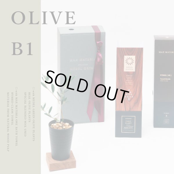 画像1: 「 繁栄の象徴シリーズ 」 MAX MATERIA feat MEDEL GREEN　◆バスタオル１P＆オリーブ若木 ◆ デザイン黒樹脂鉢＆ギフトBOX入り　オリーブ：底から葉先まで約25〜40cm前後に剪定済 (1)