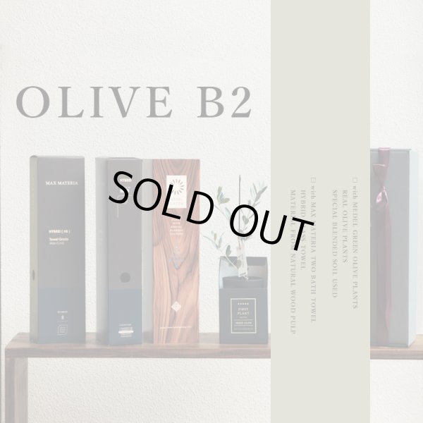 画像1: 「 繁栄の象徴シリーズ 」 MAX MATERIA feat MEDEL GREEN　◆バス２P＆オリーブ若木 ◆ デザイン黒樹脂鉢＆ギフトBOX入り　オリーブ：底から葉先まで約25〜40cm前後に剪定済 (1)