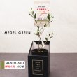 画像45: ◆ 最新作 ◆「 繁栄の象徴シリーズ 」 MAX MATERIA feat MEDEL GREEN　◆バス２P＆オリーブ若木 ◆ デザイン黒樹脂鉢＆ギフトBOX入り　オリーブ：底から葉先まで約25〜40cm前後に剪定済 (45)