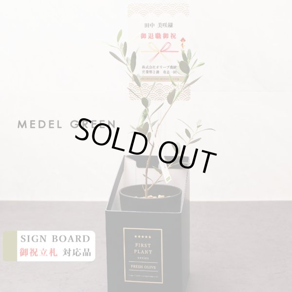 画像43: 「 繁栄の象徴シリーズ 」 MAX MATERIA feat MEDEL GREEN　◆バスタオル１P＆オリーブ若木 ◆ デザイン黒樹脂鉢＆ギフトBOX入り　オリーブ：底から葉先まで約25〜40cm前後に剪定済 (43)
