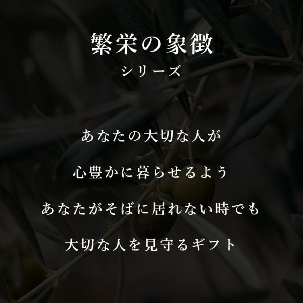 画像16: 「 繁栄の象徴シリーズ 」 MAX MATERIA feat MEDEL GREEN ◆バス2P&オリーブ若木 ◆ デザイン黒樹脂鉢&ギフトBOX入り オリーブ:底から葉先まで約25〜40cm前後に剪定済 (16)
