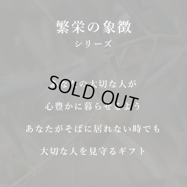 画像13: 「 繁栄の象徴シリーズ 」 MAX MATERIA feat MEDEL GREEN　◆バスタオル１P＆オリーブ若木 ◆ デザイン黒樹脂鉢＆ギフトBOX入り　オリーブ：底から葉先まで約25〜40cm前後に剪定済 (13)