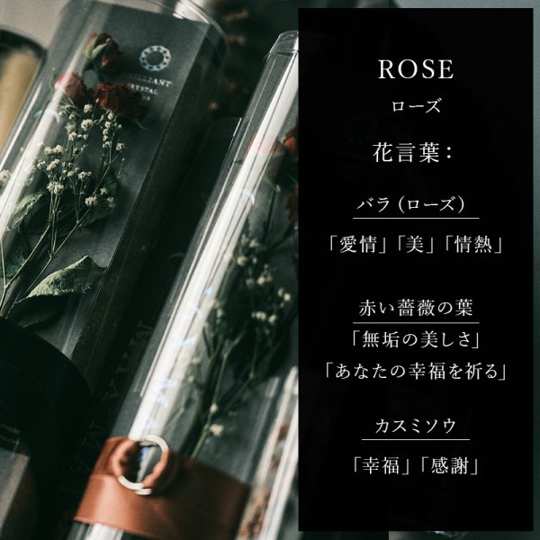 画像3: BRILLIANT CRYSTAL【 クリスタルエディション BR 】 バスタオル BATH TOWEL (3)