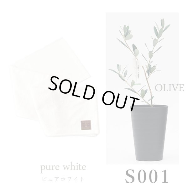 画像25: 「 繁栄の象徴シリーズ 」 MAX MATERIA feat MEDEL GREEN　◆バスタオル１P＆オリーブ若木 ◆ デザイン黒樹脂鉢＆ギフトBOX入り　オリーブ：底から葉先まで約25〜40cm前後に剪定済 (25)