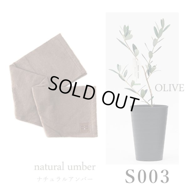 画像27: 「 繁栄の象徴シリーズ 」 MAX MATERIA feat MEDEL GREEN　◆バスタオル１P＆オリーブ若木 ◆ デザイン黒樹脂鉢＆ギフトBOX入り　オリーブ：底から葉先まで約25〜40cm前後に剪定済 (27)