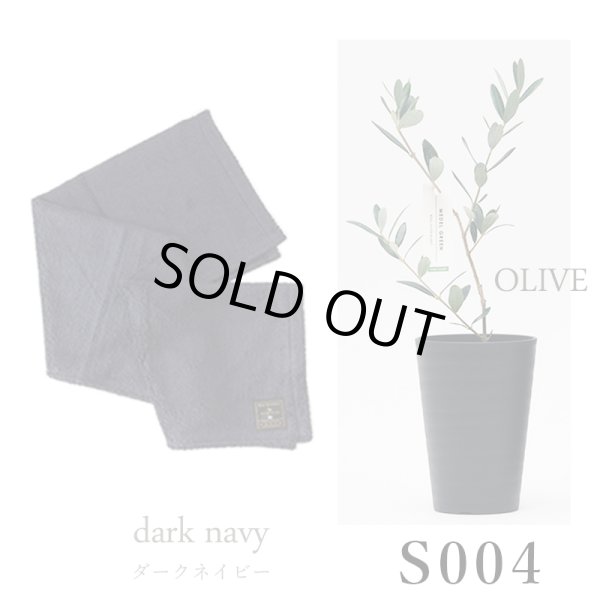 画像28: 「 繁栄の象徴シリーズ 」 MAX MATERIA feat MEDEL GREEN　◆バスタオル１P＆オリーブ若木 ◆ デザイン黒樹脂鉢＆ギフトBOX入り　オリーブ：底から葉先まで約25〜40cm前後に剪定済 (28)