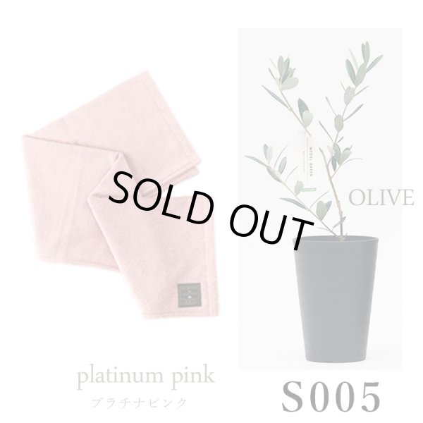 画像29: 「 繁栄の象徴シリーズ 」 MAX MATERIA feat MEDEL GREEN　◆バスタオル１P＆オリーブ若木 ◆ デザイン黒樹脂鉢＆ギフトBOX入り　オリーブ：底から葉先まで約25〜40cm前後に剪定済 (29)