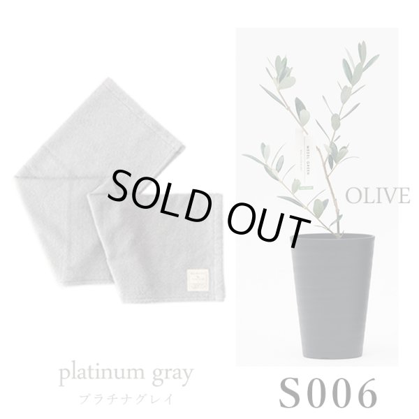 画像30: 「 繁栄の象徴シリーズ 」 MAX MATERIA feat MEDEL GREEN　◆バスタオル１P＆オリーブ若木 ◆ デザイン黒樹脂鉢＆ギフトBOX入り　オリーブ：底から葉先まで約25〜40cm前後に剪定済 (30)