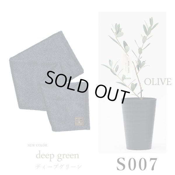 画像31: 「 繁栄の象徴シリーズ 」 MAX MATERIA feat MEDEL GREEN　◆バスタオル１P＆オリーブ若木 ◆ デザイン黒樹脂鉢＆ギフトBOX入り　オリーブ：底から葉先まで約25〜40cm前後に剪定済 (31)