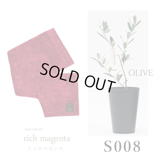 画像32: 「 繁栄の象徴シリーズ 」 MAX MATERIA feat MEDEL GREEN　◆バスタオル１P＆オリーブ若木 ◆ デザイン黒樹脂鉢＆ギフトBOX入り　オリーブ：底から葉先まで約25〜40cm前後に剪定済 (32)