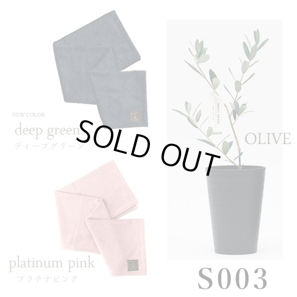 画像28: 「 繁栄の象徴シリーズ 」 MAX MATERIA feat MEDEL GREEN　◆バス２P＆オリーブ若木 ◆ デザイン黒樹脂鉢＆ギフトBOX入り　オリーブ：底から葉先まで約25〜40cm前後に剪定済 (28)