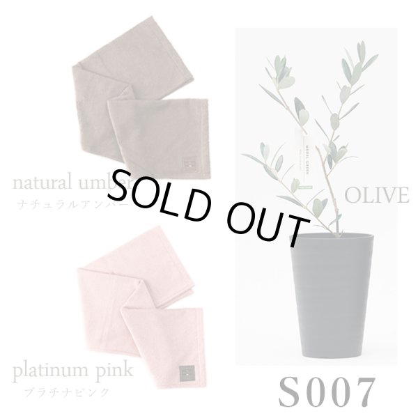 画像32: 「 繁栄の象徴シリーズ 」 MAX MATERIA feat MEDEL GREEN　◆バス２P＆オリーブ若木 ◆ デザイン黒樹脂鉢＆ギフトBOX入り　オリーブ：底から葉先まで約25〜40cm前後に剪定済 (32)