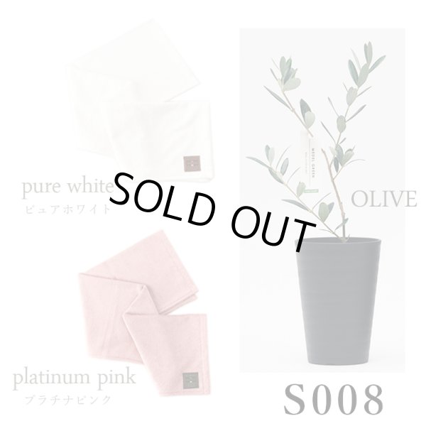 画像33: 「 繁栄の象徴シリーズ 」 MAX MATERIA feat MEDEL GREEN　◆バス２P＆オリーブ若木 ◆ デザイン黒樹脂鉢＆ギフトBOX入り　オリーブ：底から葉先まで約25〜40cm前後に剪定済 (33)