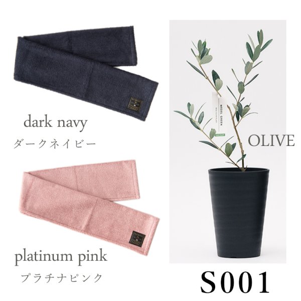 画像23: 「 繁栄の象徴シリーズ 」 MAX MATERIA feat MEDEL GREEN　◆フェイス２P＆オリーブ若木 ◆ デザイン黒樹脂鉢＆ギフトBOX入り　オリーブ：底から葉先まで約25〜40cm前後に剪定済 (23)