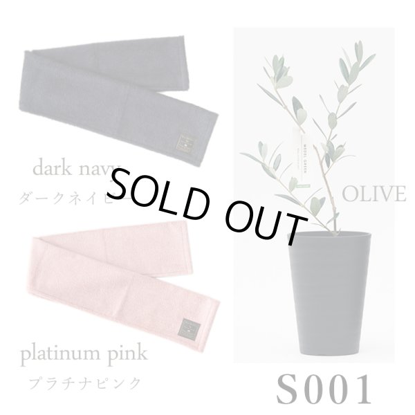 画像23: 「 繁栄の象徴シリーズ 」 MAX MATERIA feat MEDEL GREEN　◆フェイス２P＆オリーブ若木 ◆ デザイン黒樹脂鉢＆ギフトBOX入り　オリーブ：底から葉先まで約25〜40cm前後に剪定済 (23)