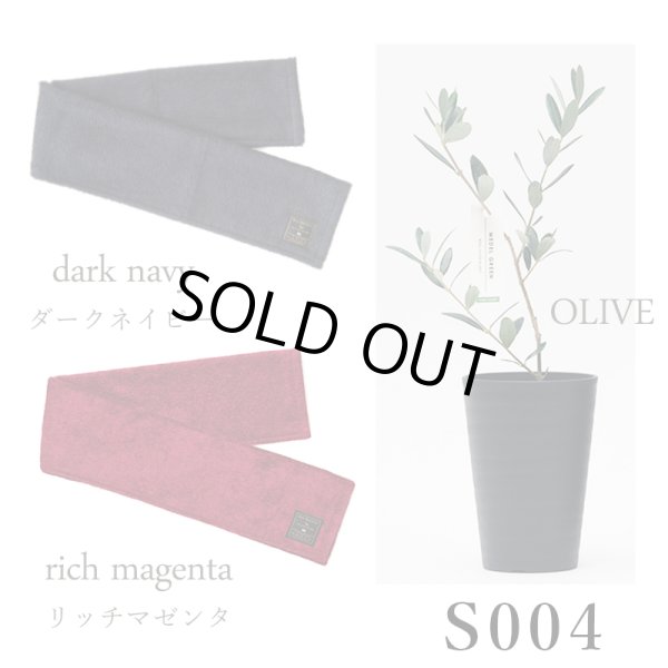 画像26: 「 繁栄の象徴シリーズ 」 MAX MATERIA feat MEDEL GREEN　◆フェイス２P＆オリーブ若木 ◆ デザイン黒樹脂鉢＆ギフトBOX入り　オリーブ：底から葉先まで約25〜40cm前後に剪定済 (26)