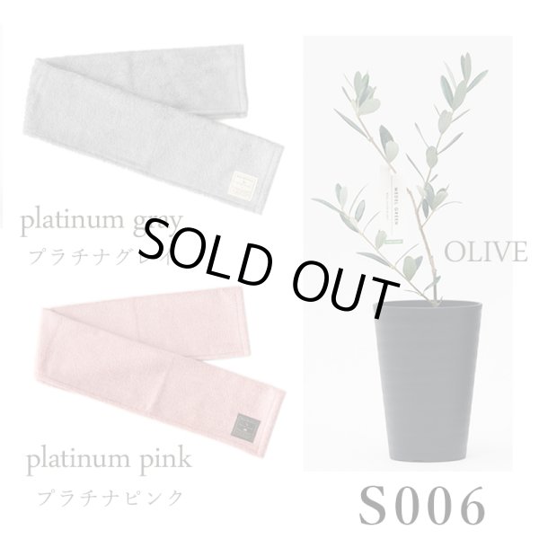 画像28: 「 繁栄の象徴シリーズ 」 MAX MATERIA feat MEDEL GREEN　◆フェイス２P＆オリーブ若木 ◆ デザイン黒樹脂鉢＆ギフトBOX入り　オリーブ：底から葉先まで約25〜40cm前後に剪定済 (28)