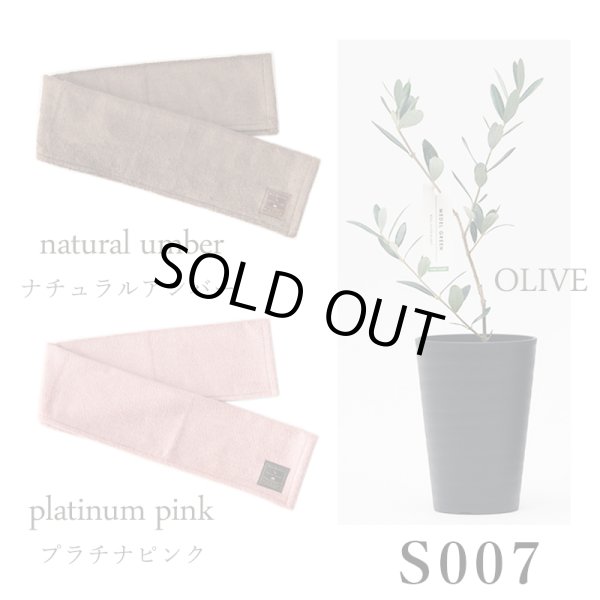 画像29: 「 繁栄の象徴シリーズ 」 MAX MATERIA feat MEDEL GREEN　◆フェイス２P＆オリーブ若木 ◆ デザイン黒樹脂鉢＆ギフトBOX入り　オリーブ：底から葉先まで約25〜40cm前後に剪定済 (29)