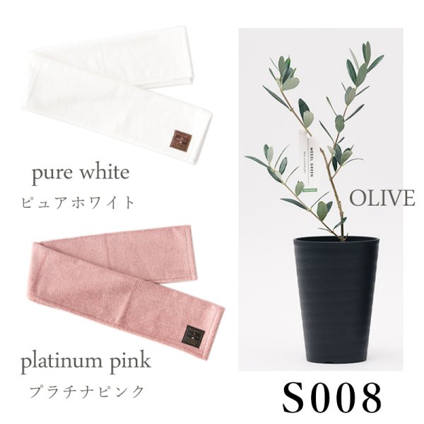 画像30: 「 繁栄の象徴シリーズ 」 MAX MATERIA feat MEDEL GREEN　◆フェイス２P＆オリーブ若木 ◆ デザイン黒樹脂鉢＆ギフトBOX入り　オリーブ：底から葉先まで約25〜40cm前後に剪定済 (30)