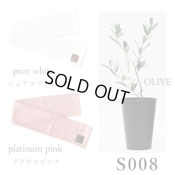 画像30: 「 繁栄の象徴シリーズ 」 MAX MATERIA feat MEDEL GREEN　◆フェイス２P＆オリーブ若木 ◆ デザイン黒樹脂鉢＆ギフトBOX入り　オリーブ：底から葉先まで約25〜40cm前後に剪定済 (30)