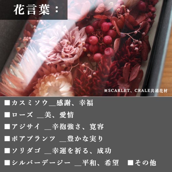 画像5: ◆最新作◆ 特別仕様メッセージカード付 バスタオル&フェイスタオル アニバーサリーセット   ANNYVERSARY SET【HB】 (5)