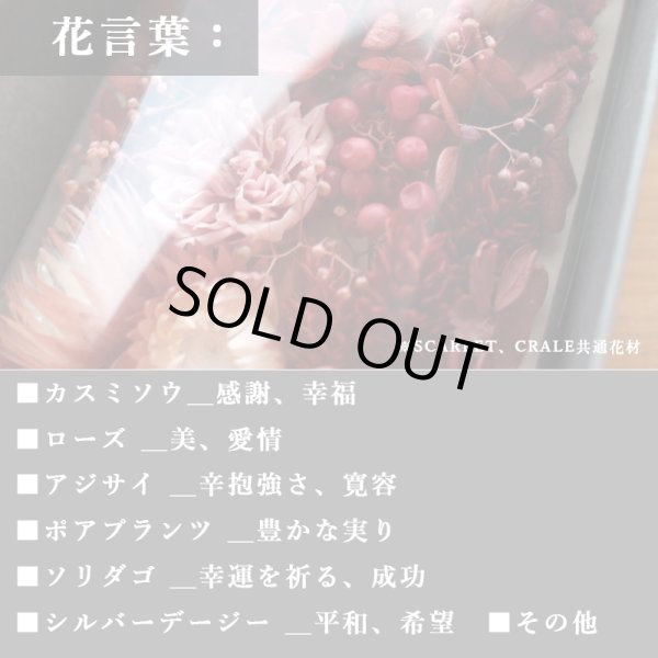 画像5: 【次回入荷4月2日予定】◆新作◆ 特別仕様メッセージ付 バスタオル&フェイスタオル アニバーサリーセット   ANNYVERSARY SET【HB】 (5)