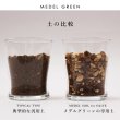 画像40: ◆ 最新作 ◆「 繁栄の象徴シリーズ 」 MAX MATERIA feat MEDEL GREEN　◆バス２P＆オリーブ若木 ◆ デザイン黒樹脂鉢＆ギフトBOX入り　オリーブ：底から葉先まで約25〜40cm前後に剪定済 (40)