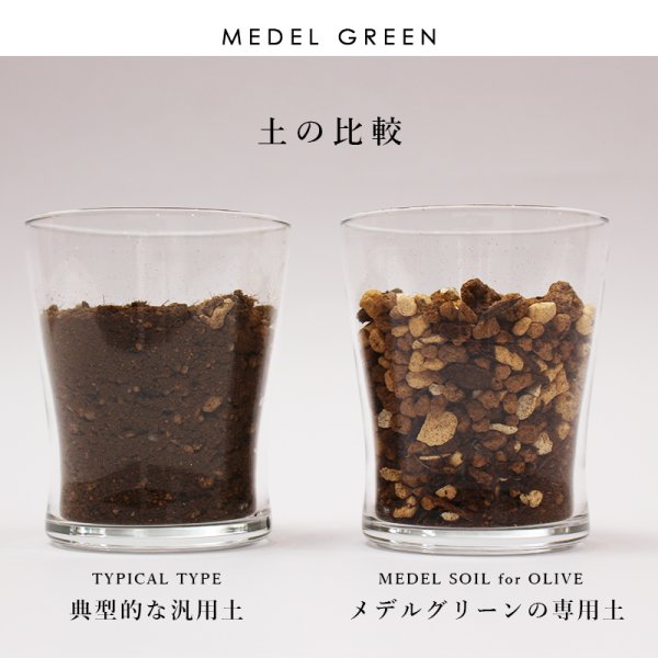 画像40: 「 繁栄の象徴シリーズ 」 MAX MATERIA feat MEDEL GREEN ◆バス2P&オリーブ若木 ◆ デザイン黒樹脂鉢&ギフトBOX入り オリーブ:底から葉先まで約25〜40cm前後に剪定済 (40)