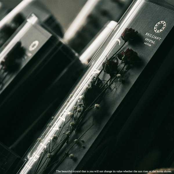 画像19: BRILLIANT CRYSTAL【 クリスタルエディション BR 】 ハンドタオル HAND TOWEL (19)