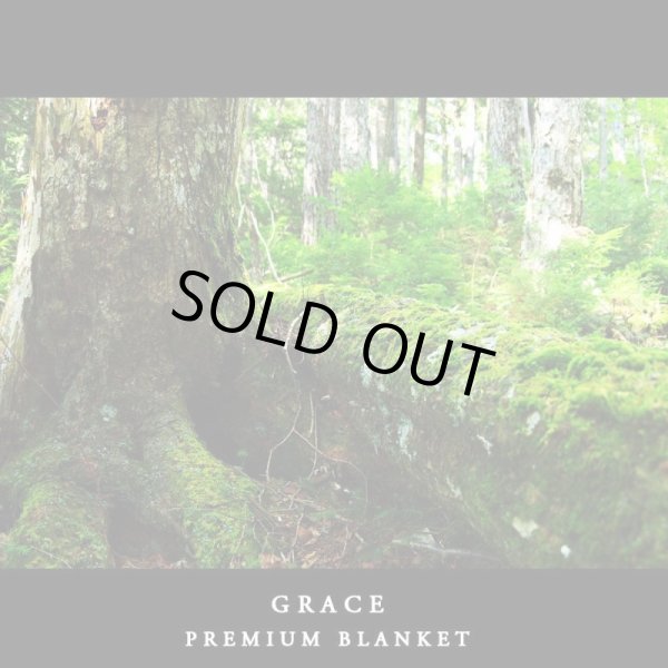 画像14: MAXMATERIA マックスマテリア GRACE ひざ掛け毛布 ラグサイズ （ギフトＢＯＸ入） (14)