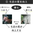 画像20: ◆ 最新作 ◆「 繁栄の象徴シリーズ 」 MAX MATERIA feat MEDEL GREEN　◆バス２P＆オリーブ若木 ◆ デザイン黒樹脂鉢＆ギフトBOX入り　オリーブ：底から葉先まで約25〜40cm前後に剪定済 (20)