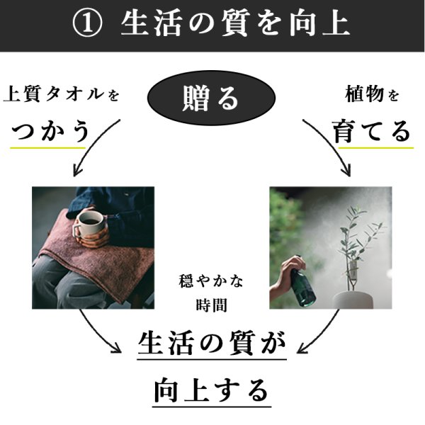 画像20: 「 繁栄の象徴シリーズ 」 MAX MATERIA feat MEDEL GREEN ◆バス2P&オリーブ若木 ◆ デザイン黒樹脂鉢&ギフトBOX入り オリーブ:底から葉先まで約25〜40cm前後に剪定済 (20)