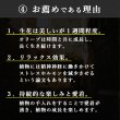 画像23: ◆ 最新作 ◆「 繁栄の象徴シリーズ 」 MAX MATERIA feat MEDEL GREEN　◆バス２P＆オリーブ若木 ◆ デザイン黒樹脂鉢＆ギフトBOX入り　オリーブ：底から葉先まで約25〜40cm前後に剪定済 (23)