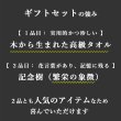 画像14: ◆ 最新作 ◆「 繁栄の象徴シリーズ 」 MAX MATERIA feat MEDEL GREEN　◆バス２P＆オリーブ若木 ◆ デザイン黒樹脂鉢＆ギフトBOX入り　オリーブ：底から葉先まで約25〜40cm前後に剪定済 (14)