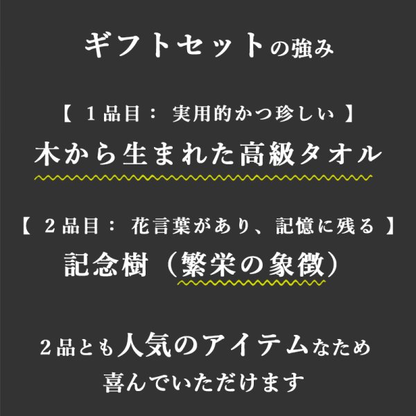 画像14: 「 繁栄の象徴シリーズ 」 MAX MATERIA feat MEDEL GREEN ◆バス2P&オリーブ若木 ◆ デザイン黒樹脂鉢&ギフトBOX入り オリーブ:底から葉先まで約25〜40cm前後に剪定済 (14)