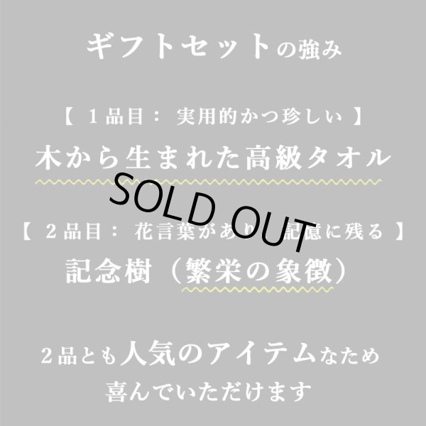 画像11: 「 繁栄の象徴シリーズ 」 MAX MATERIA feat MEDEL GREEN　◆バスタオル１P＆オリーブ若木 ◆ デザイン黒樹脂鉢＆ギフトBOX入り　オリーブ：底から葉先まで約25〜40cm前後に剪定済 (11)